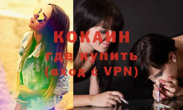 индика Алзамай