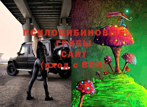индика Алзамай