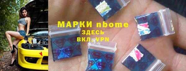 индика Алзамай