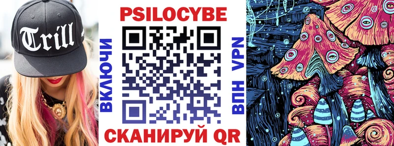 как найти закладки  Прохладный  Псилоцибиновые грибы GOLDEN TEACHER 