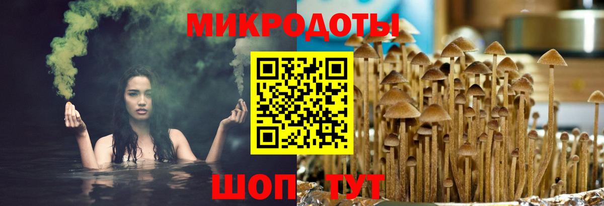 Псилоцибиновые грибы мицелий Прохладный