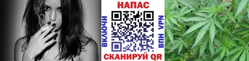 Шишки марихуана Ganja  Прохладный 